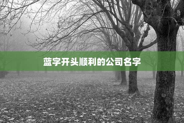 蓝字开头顺利的公司名字
