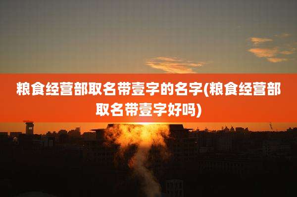 粮食经营部取名带壹字的名字(粮食经营部取名带壹字好吗)