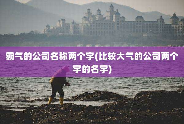霸气的公司名称两个字(比较大气的公司两个字的名字)