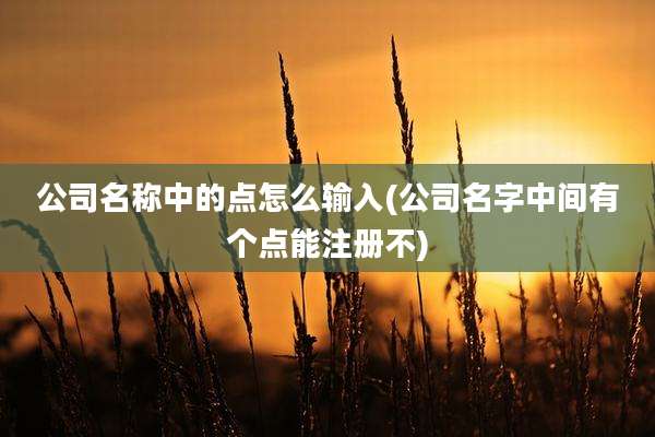 公司名称中的点怎么输入(公司名字中间有个点能注册不)