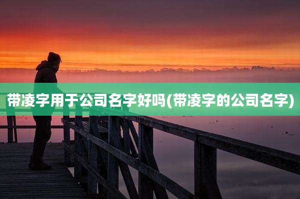 带凌字用于公司名字好吗(带凌字的公司名字)