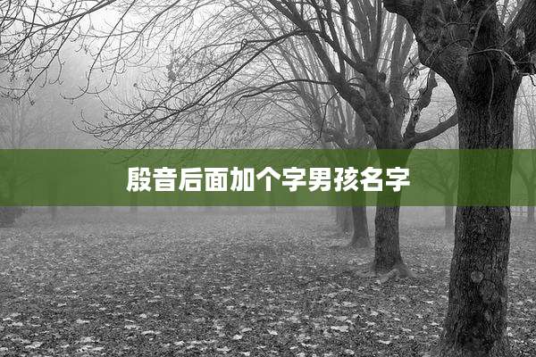 殷音后面加个字男孩名字