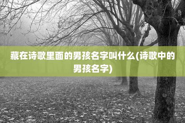 藏在诗歌里面的男孩名字叫什么(诗歌中的男孩名字)