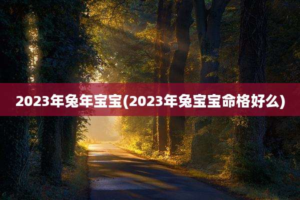 2023年兔年宝宝(2023年兔宝宝命格好么)