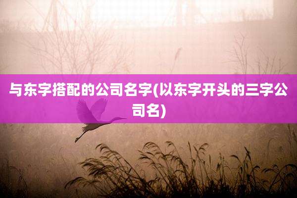 与东字搭配的公司名字(以东字开头的三字公司名)