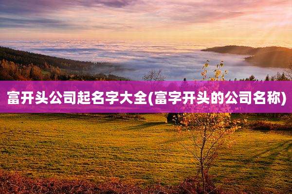 富开头公司起名字大全(富字开头的公司名称)