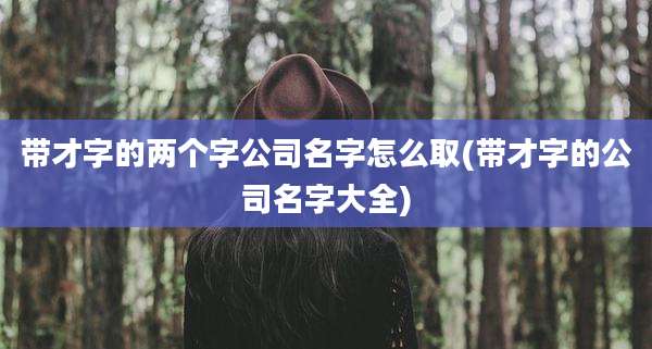 带才字的两个字公司名字怎么取(带才字的公司名字大全)
