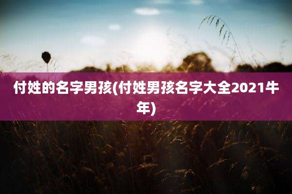 付姓的名字男孩(付姓男孩名字大全2021牛年)