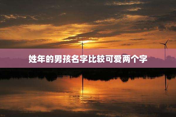 姓年的男孩名字比较可爱两个字