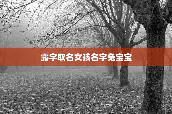 露字取名女孩名字兔宝宝