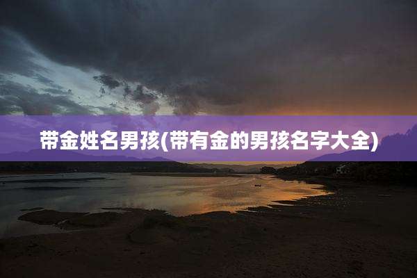 带金姓名男孩(带有金的男孩名字大全)