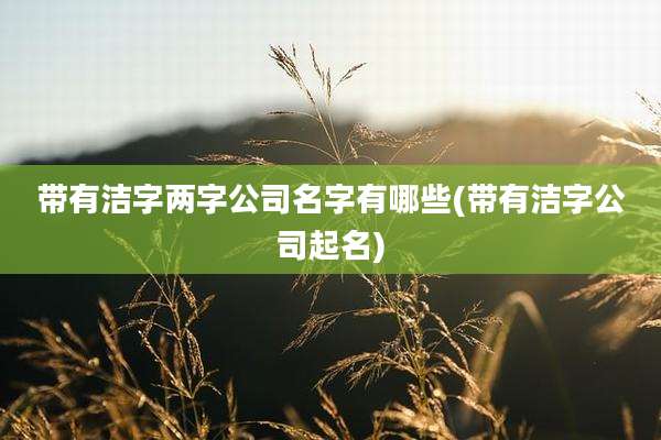 带有洁字两字公司名字有哪些(带有洁字公司起名)