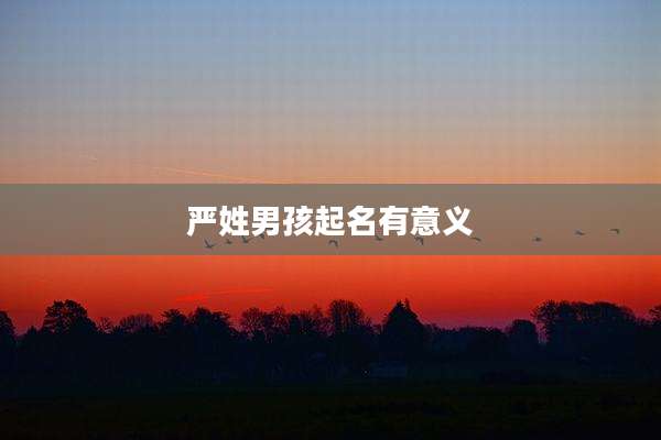 严姓男孩起名有意义