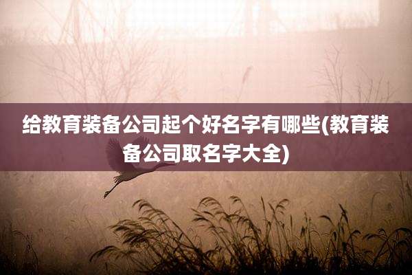 给教育装备公司起个好名字有哪些(教育装备公司取名字大全)