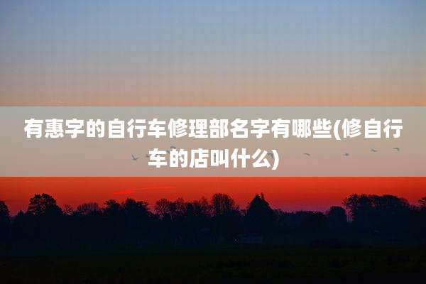 有惠字的自行车修理部名字有哪些(修自行车的店叫什么)