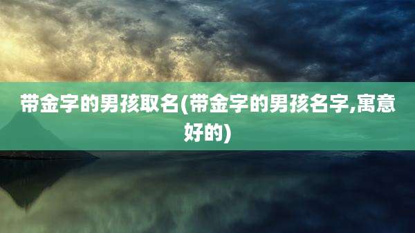带金字的男孩取名(带金字的男孩名字,寓意好的)