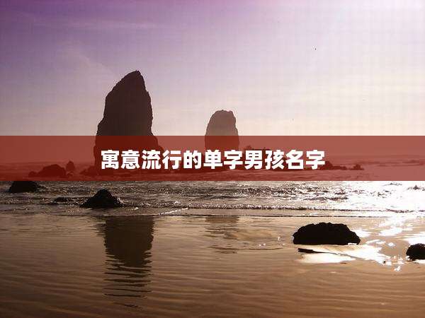 寓意流行的单字男孩名字