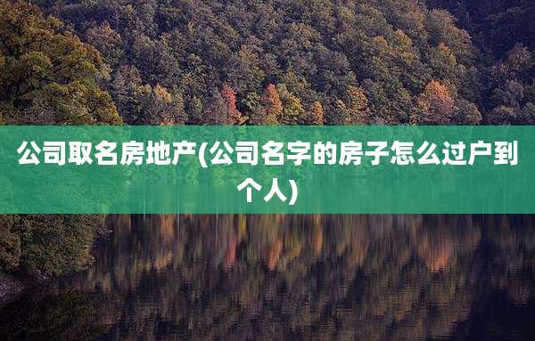 公司取名房地产(公司名字的房子怎么过户到个人)