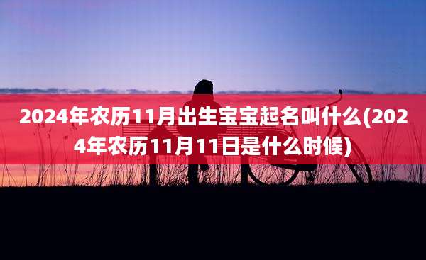 2024年农历11月出生宝宝起名叫什么(2024年农历11月11日是什么时候)