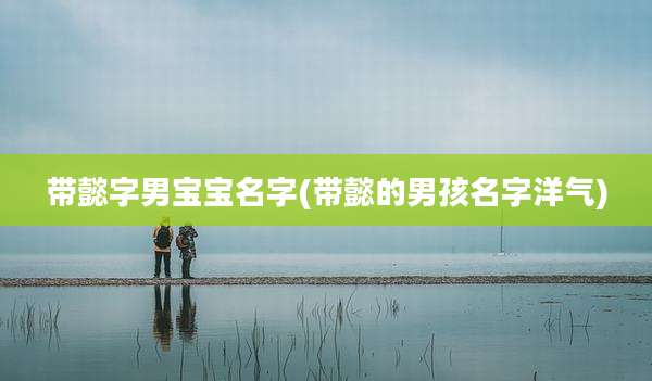 带懿字男宝宝名字(带懿的男孩名字洋气)