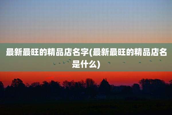 最新最旺的精品店名字(最新最旺的精品店名是什么)