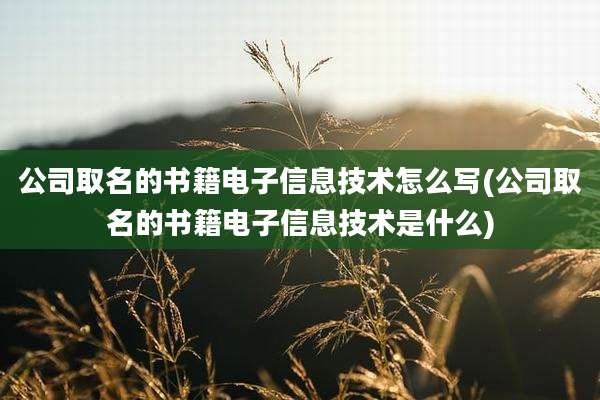 公司取名的书籍电子信息技术怎么写(公司取名的书籍电子信息技术是什么)