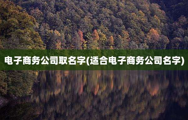电子商务公司取名字(适合电子商务公司名字)