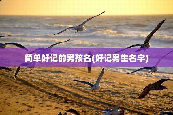 简单好记的男孩名(好记男生名字)
