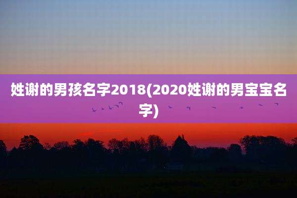 姓谢的男孩名字2018(2020姓谢的男宝宝名字)