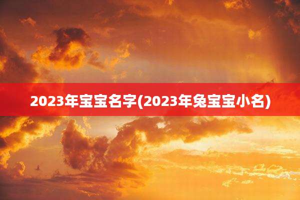 2023年宝宝名字(2023年兔宝宝小名)