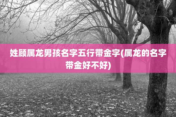 姓顾属龙男孩名字五行带金字(属龙的名字带金好不好)
