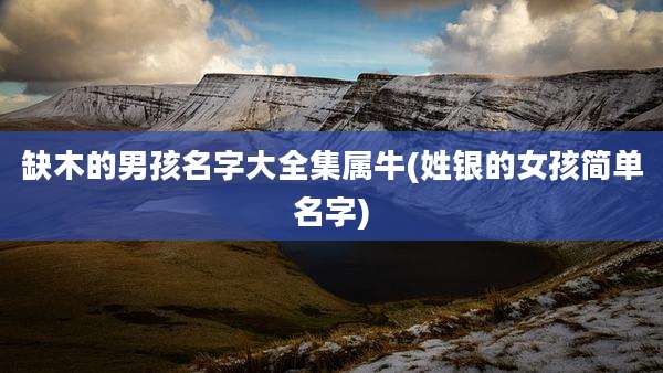 缺木的男孩名字大全集属牛(姓银的女孩简单名字)