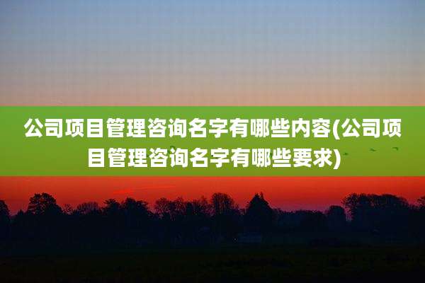 公司项目管理咨询名字有哪些内容(公司项目管理咨询名字有哪些要求)