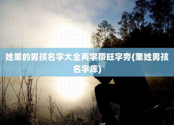 姓栗的男孩名字大全两字带旺字旁(栗姓男孩名字库)