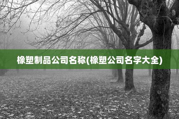 橡塑制品公司名称(橡塑公司名字大全)