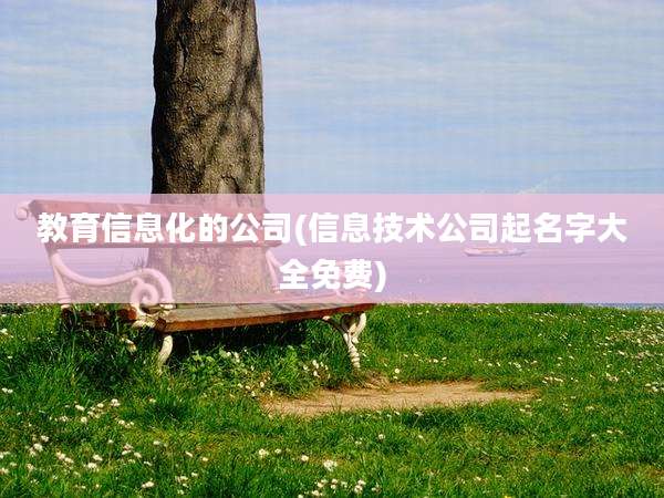 教育信息化的公司(信息技术公司起名字大全免费)