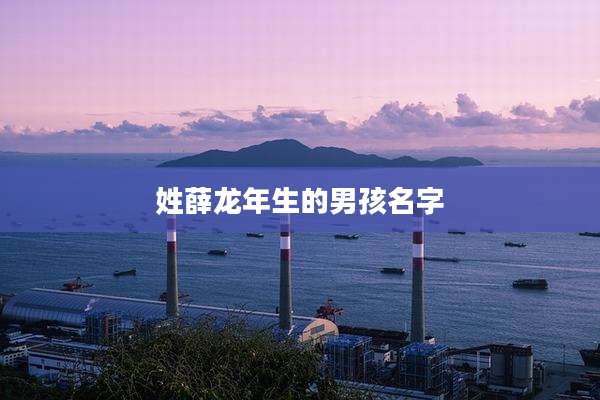 姓薛龙年生的男孩名字