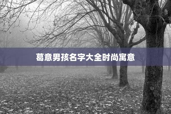 葛意男孩名字大全时尚寓意