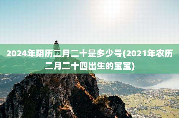 2024年阴历二月二十是多少号(2021年农历二月二十四出生的宝宝)