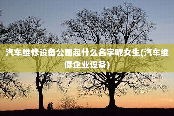 汽车维修设备公司起什么名字呢女生(汽车维修企业设备)