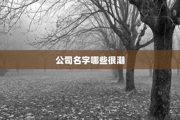 公司名字哪些很潮