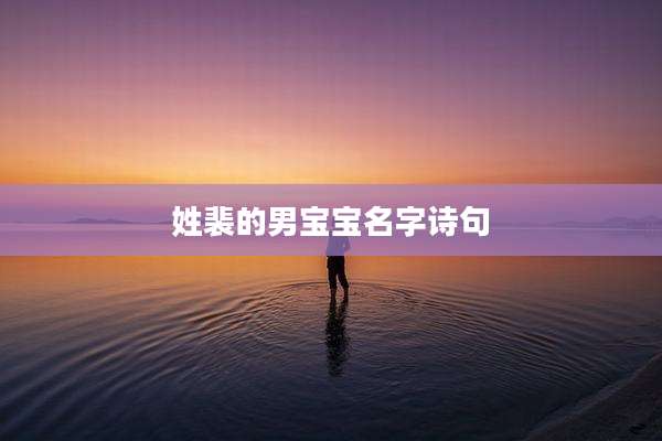 姓裴的男宝宝名字诗句