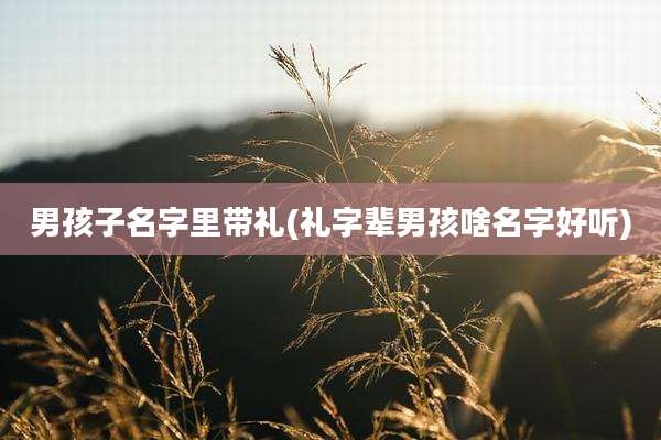 男孩子名字里带礼(礼字辈男孩啥名字好听)