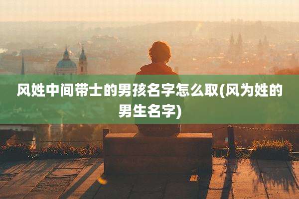 风姓中间带士的男孩名字怎么取(风为姓的男生名字)