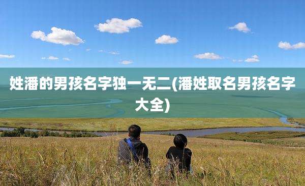 姓潘的男孩名字独一无二(潘姓取名男孩名字大全)