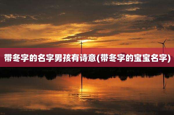 带冬字的名字男孩有诗意(带冬字的宝宝名字)