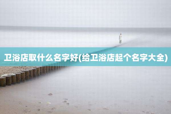 卫浴店取什么名字好(给卫浴店起个名字大全)