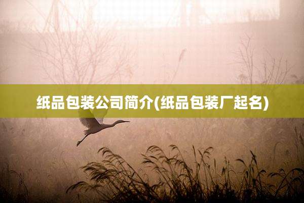纸品包装公司简介(纸品包装厂起名)
