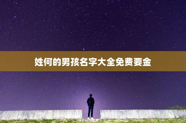 姓何的男孩名字大全免费要金