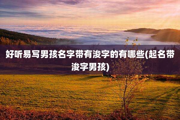 好听易写男孩名字带有浚字的有哪些(起名带浚字男孩)